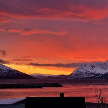 Loftsleilighet Midt I Sentrum Skjervoy 外观 照片