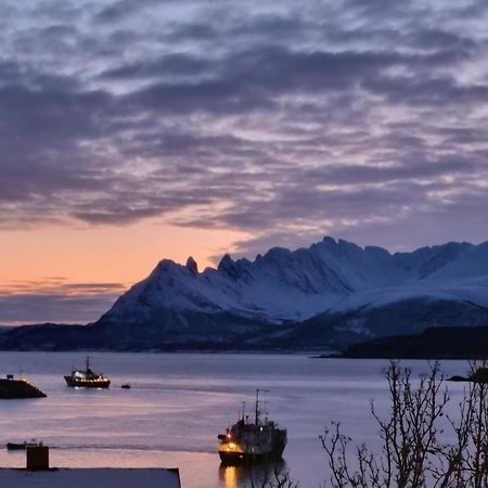 Loftsleilighet Midt I Sentrum Skjervoy 外观 照片