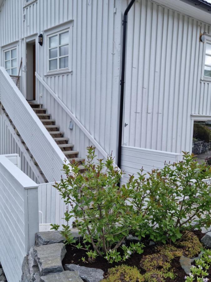 Loftsleilighet Midt I Sentrum Skjervoy 外观 照片