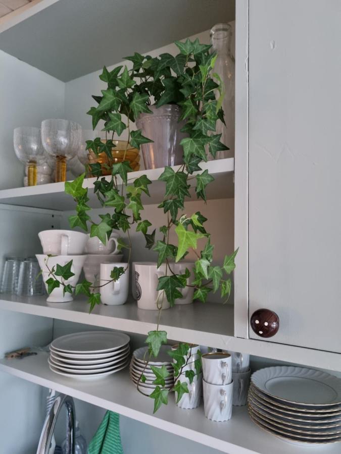 Loftsleilighet Midt I Sentrum Skjervoy 外观 照片